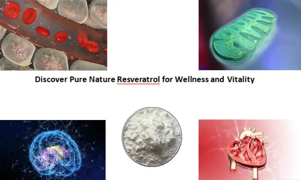 Discover Pure Nature Resveratrol for Wellness and Vitality